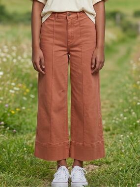 Anthropologie Chino Pintucked Cropped Pants Cinnamon Brown Tan Size 6